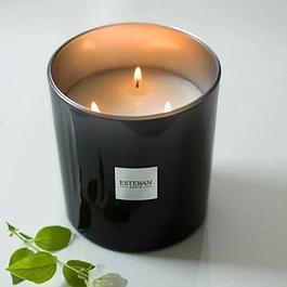 Refillable scented candle 450 g iris cashmere ESTEBAN