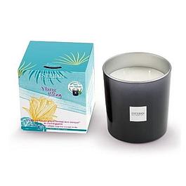 Refillable scented candle 450 g Ylang-Ylang ESTEBAN