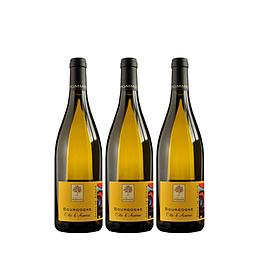 3 vins de Bourgogne blanc Côtes d'Auxerre