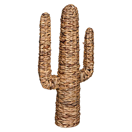 Large Cactus - Hyacinth
