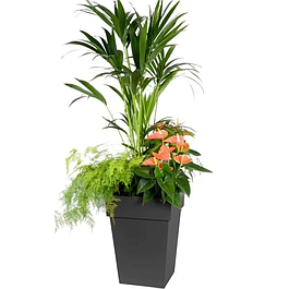 Flower pot - EDA - mid-high square - 51 L - Anthracite gray