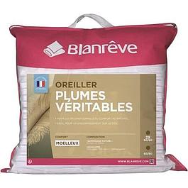 Ensemble de 2 oreillers Plumes - BLANREVE - 60x60 cm