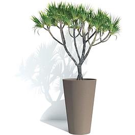 Pot de fleurs haut - taupe