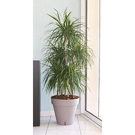 Pot de fleurs taupe - Diamètre 50 cm - RIVIERA